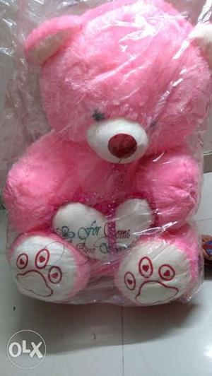 Teddy for Sale, brand new