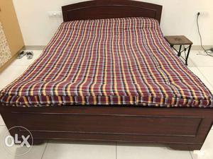 5/6 Queen Double bed cot with two mattresses and bedside