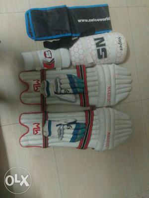 Pair Of White Goalee Pads