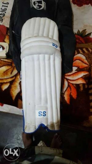Cricket kit full kit with kashmir willow bat