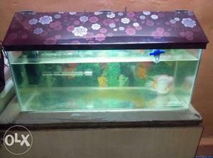 2.5feet fish tank with top, LED light,water