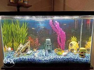 2 n half inch aquarium wid fishes oxygen n filter
