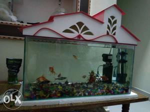 2/1 fish tank 5mm thickness only 1 week old