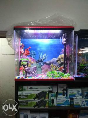 2ft sobo aquarium with fish and food