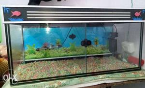 3 feet Aquarium + water heater +Water filter +