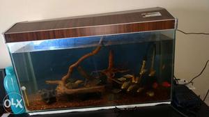 3 feet tank with cover and metal stand for sale