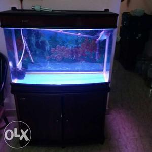 3feet imported aquarium,canister filter,both 4