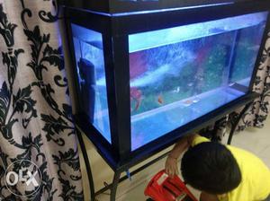 90 ltr aquarium,good condition,with filter and