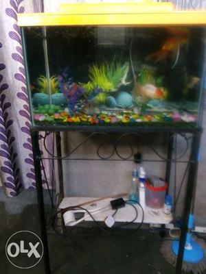 A 1.5 feet fish tank with all accessories