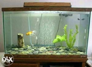AQUAFIN Aquarium - Fish Tank in lowest price...OO918