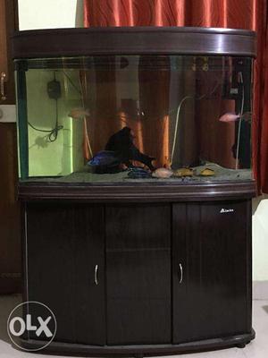 Aquarium fish tank for sale imported molded tank with 25