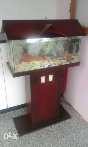 Aquarium with full settings, including air pump,