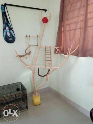 Bird cage and Play Branch + Food