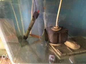 Black And Gray Aquarium Water Pump