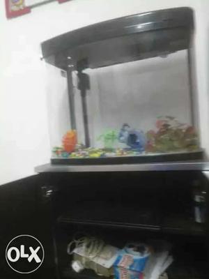 Black Framed Bow Front Fish Tank With Cabinet