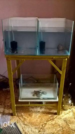 Breeding Tanks with Stand for Cheap Rate
