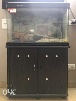 Fibre Aquarium of 2.5 feet. With a wooden closet