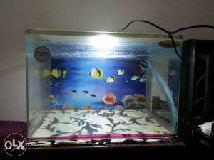 Fish Tank New condition For sell.