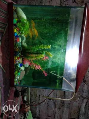 Fish aquarium+3 fish+fish food +Oxygen and water