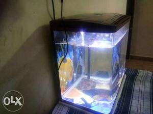 Fish tank only sales
