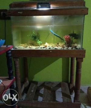 Fish tank with stand(without motor) call me (nine