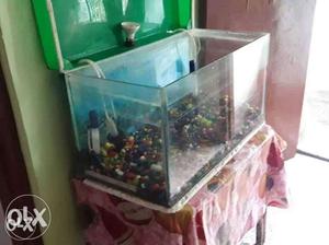 Fresh fine beautiful aquarium sell very low cost price