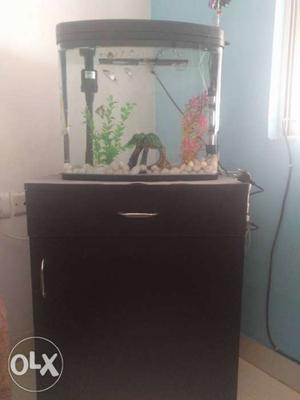 Imported aquarium with a black Wooden 2-drawer Chest