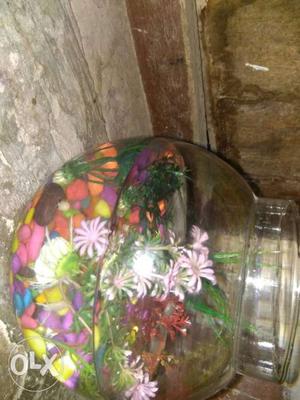 Mini aquarium jar for golden fish with stone and
