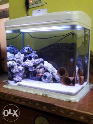 Moulded aquarium tank 1.5 feet need condition led lights