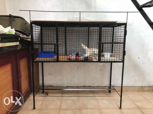 New big cage with 1 month old trained kitti