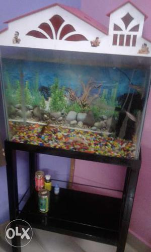No fishes only aquarium, motor, with metal stand