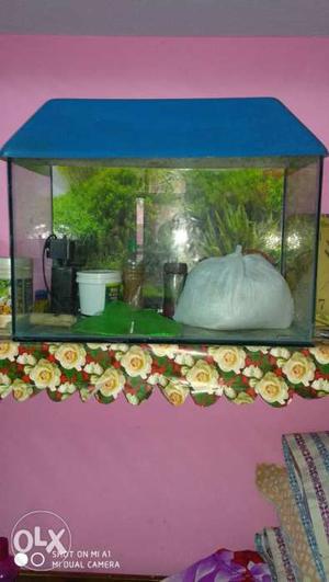Rectangular Blue-framed Fish Tank