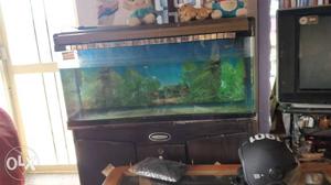 Rectangular Brown Framed Pet Tank With Cabinet light fitted