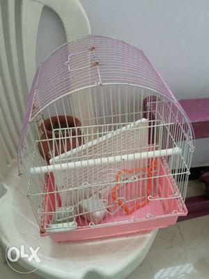 Small White And Pink Metal Birdcage