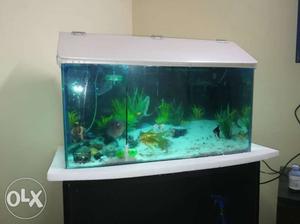 White Framed Fish Tank With Cabinet
