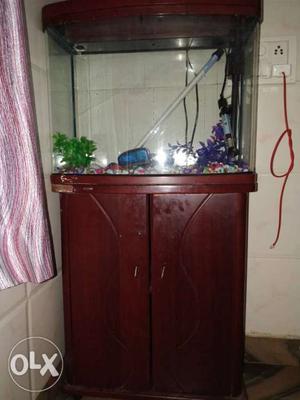 2 feet aquarium with table all accessories plants
