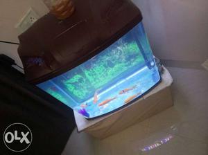 2month old fiber fish tank for sell