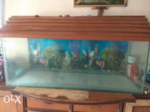 4 fit * 1.5 fit fish tank with water top filter