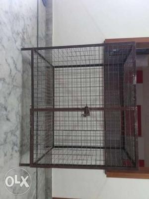 4ft×3ft height 3.5 ft Dog Cage For Immediate