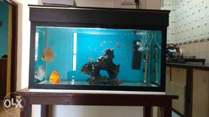 Aquarium 2.5 feet complete set with air pump, heater and