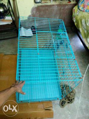 Big metal cage with trey for pets