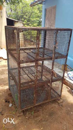 Chicken and love birds cage