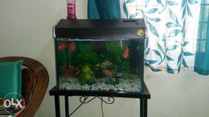 Dear All, I am trying to sell my Aquarium free of