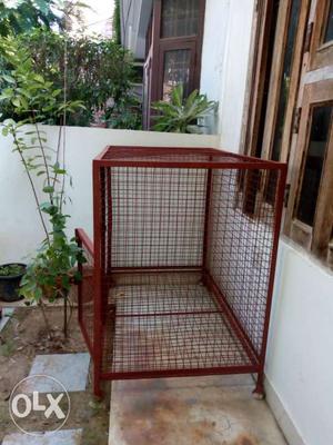 Dog or big bird cage, Size - 4 × 2.5 feet.