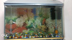 Fish Tank 2.5x1x1.5 LxWxH. call or whts app