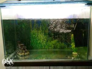 Fish tank 2feet with decoration