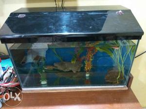 Fishtank with acrylic hood only, 2ft length *