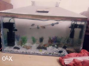 Full aquarium set with 2power filters and motor