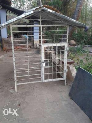 Mettal dog cage fresh 4×4 hight 5 feet flore
