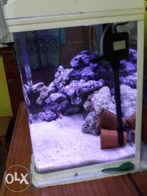 Moulded aquarium with led light and filter touch
